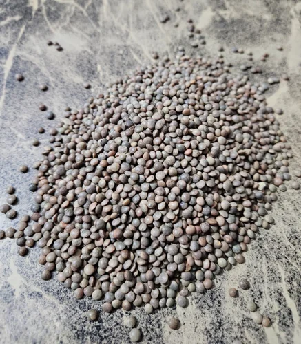 Unpolished Sabut Black Masoor Dal