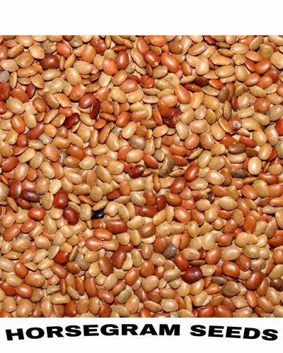 Horse Gram, Brown
