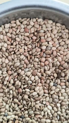 Horse gram Material