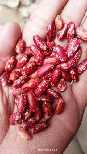 Rajma, Packaging Size: 50 Kg