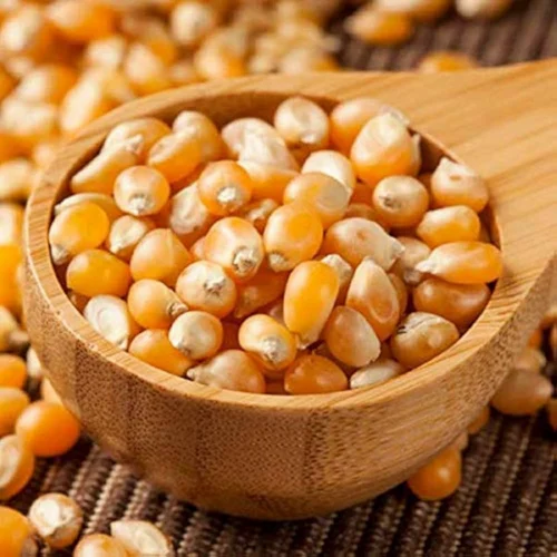 Popcorn Makka Dana
