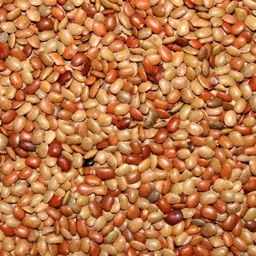 Horse Gram, 30 KG, Whole