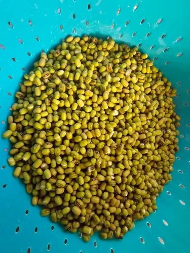 Organic Small Green Moong Pulses, Dried