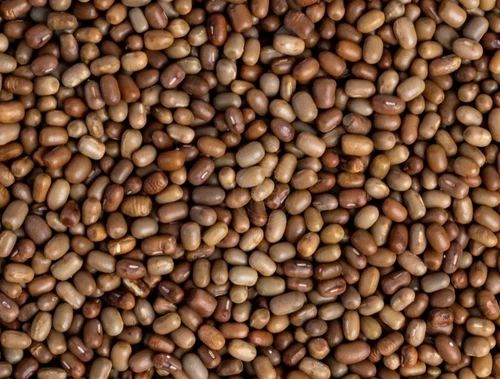 Organic Moth Pulses