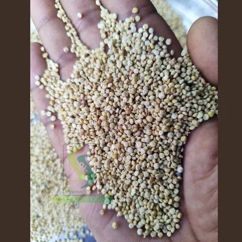 Brown Organic Quinoa Seed, For Food Industry, High in Protein