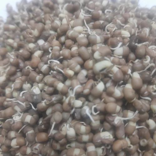 Iqra Dehydrated Matki Sprouts, Pan India