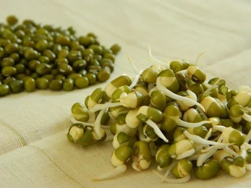 Dry Sprouted Moong, Packaging Size: Kg