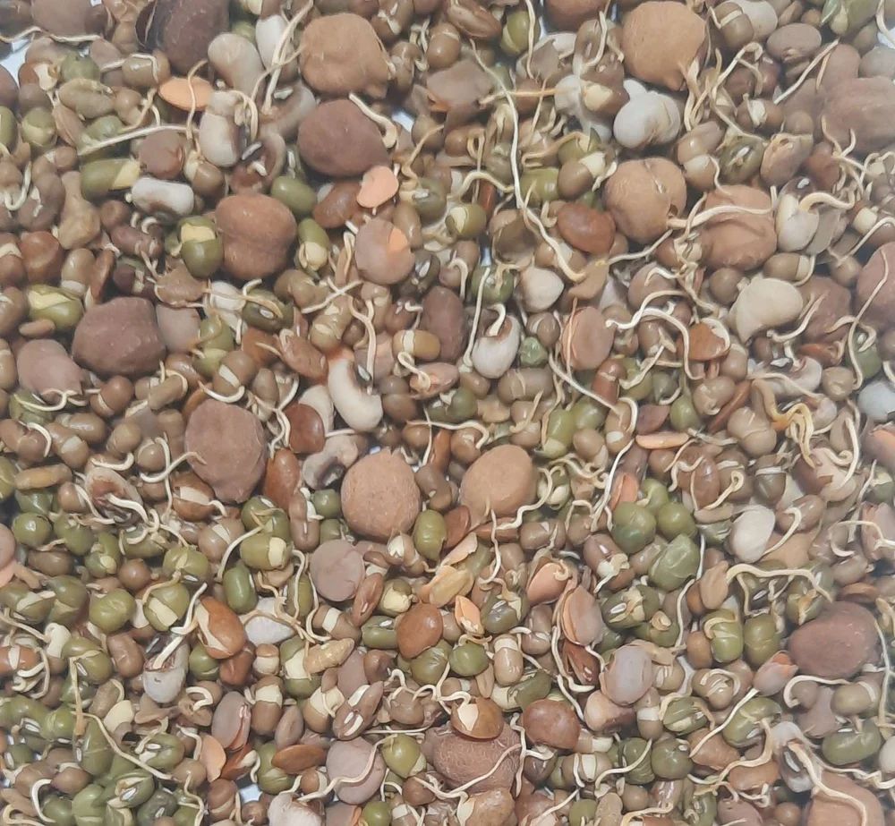Dehydrated Sprout Mix