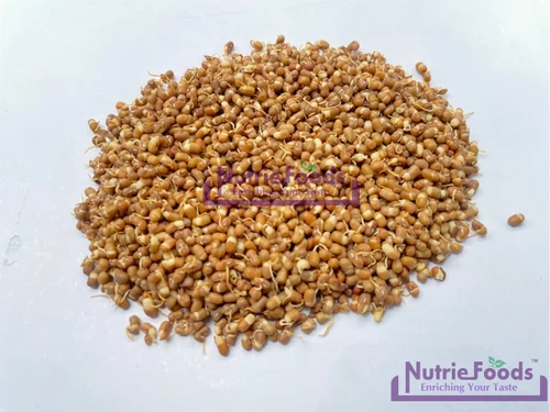 Dehydrated Sprouted Matki, Nutriefoods, Packaging Size: 1 Kg
