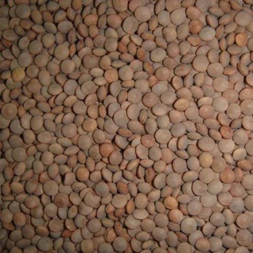 Brown Sabut Masoor Dal (5 Kg)