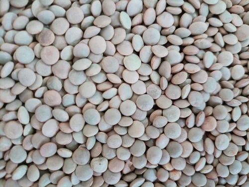 1 Kg Sabut Masoor Dal