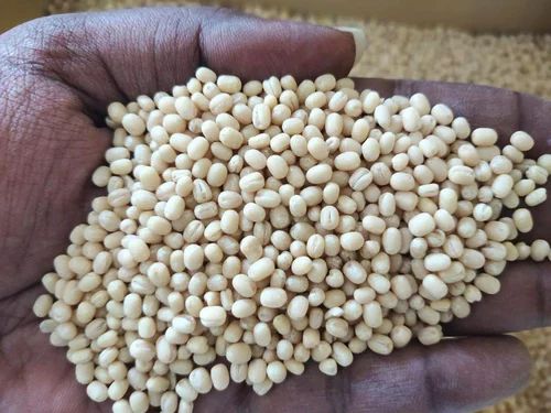 25 Kg Sabut Urad Dal