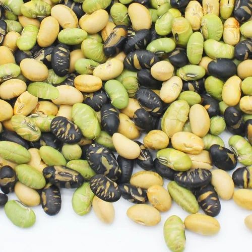 Soybean (Bhatma) mix protein beans, 1 kg, Whole