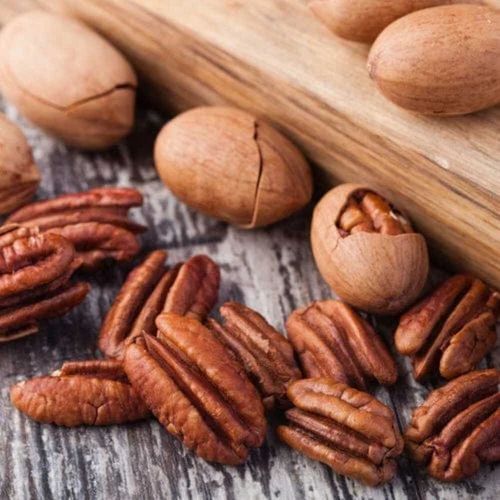 Without Shell (Kernel) Pecan Nuts Dry Fruits