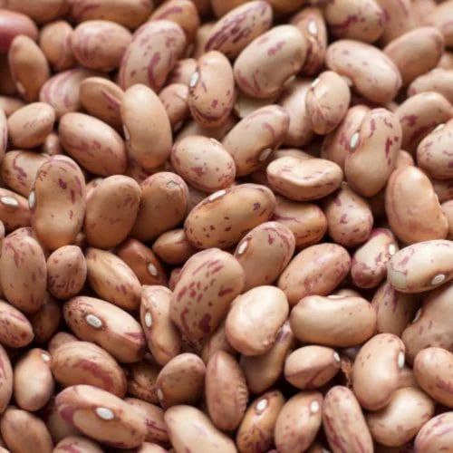 A Grade Dried Beans