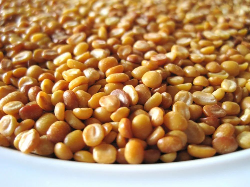 Roasted Moong Dal