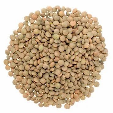 Brown Pardina Lentils