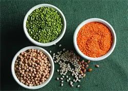 Lentils & Pulses