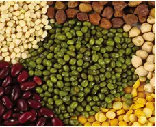 Organic Pulses And Lentils