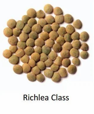 Richlea Class