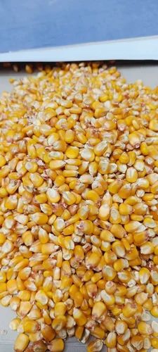 Natural Yellow Corn B Grade, Kernels