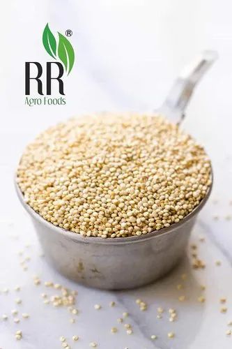 Quinoa Seed, High in Protein
