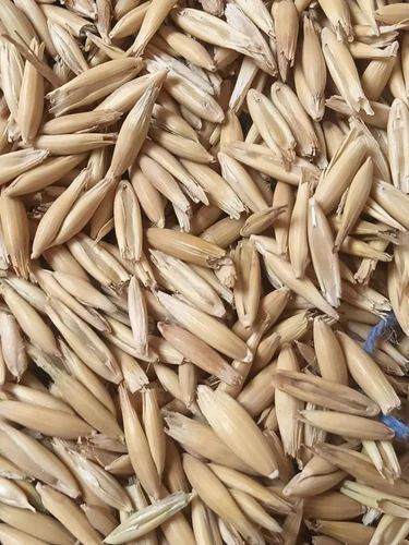 Oats, 50 Kg, Raw