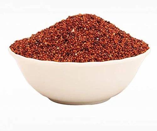 Ragi Seeds Nachni