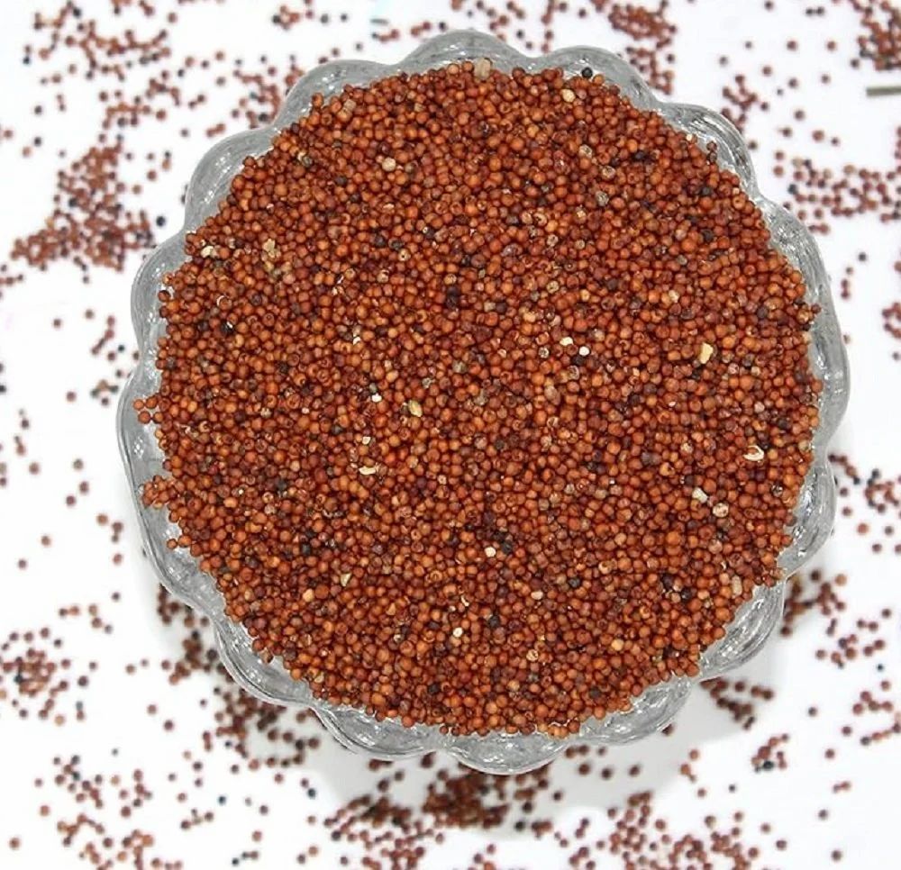 Ragi Seeds Nachni