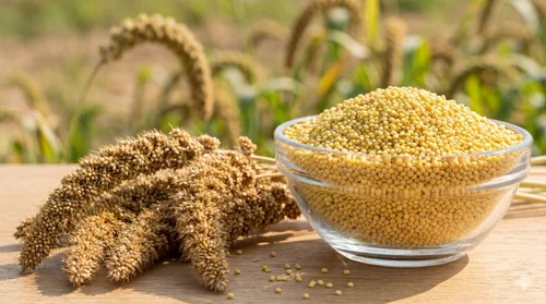 Foxtail Millet, Form: Grain