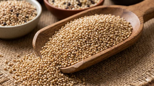 Browntop Millets