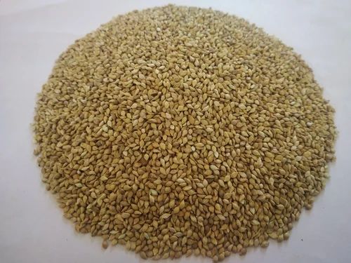Mustard 100% Dried Browntop Millet Seed, Gluten Free