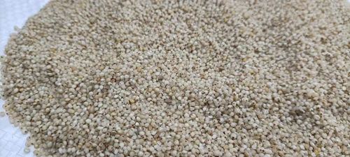Tan Brown 99% Dried Barnyard Millets Grain, Grains, High in Protein
