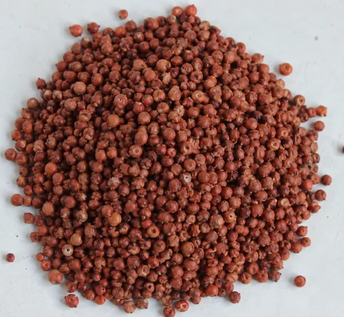 Red Jowar (Lal Jowar / Red Sorghum) - Cooking, Bird Feed & Flour Milling