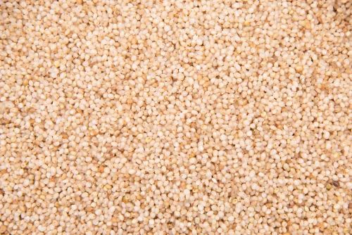 Little Millet - Unpolished, Sortex Cleaned - 30 kg Bulk