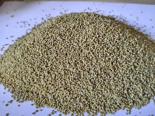 Browntop Millet - Unpolished, Sortex cleaned - 30 kg Bulk