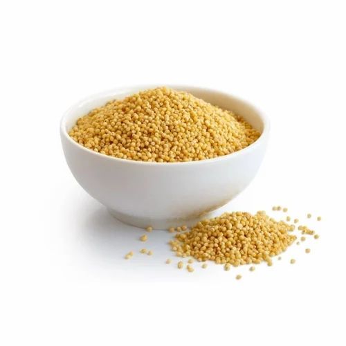 Yellow Organic Foxtail Millet Seed