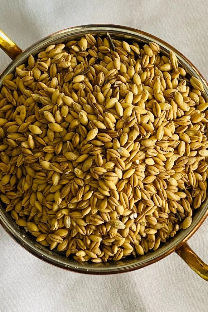 Barley Whole