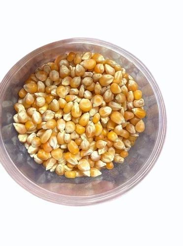 Yellow Popcorn Seeds, 30 Kg, For Snack Brand Use