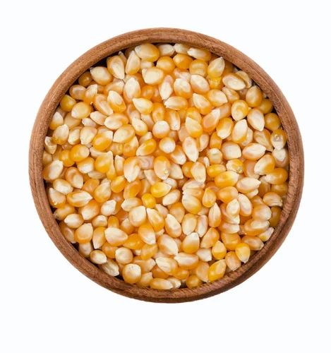 HoneyBee YELLOW Imported Popcorn Maize & kernels, Organic, Packaging Type: Bags