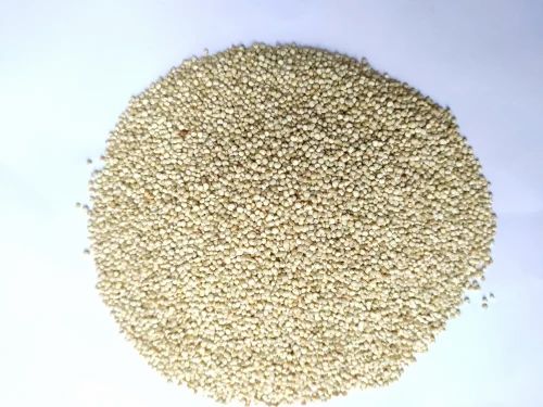 Bold Quinoa Seed