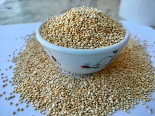 Fresh Quinoa Seed