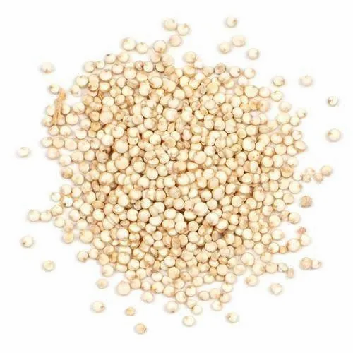 Raw Quinoa Seeds