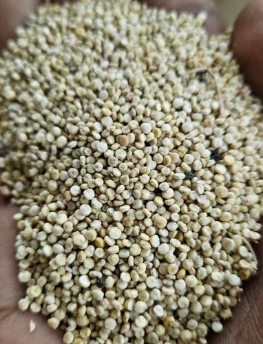Raw Quinoa Seeds Organics, Gluten Free