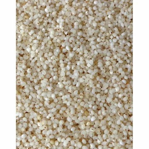 White Polished Barnyard Millet