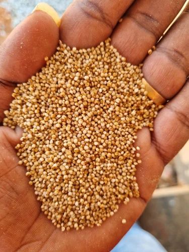 Premium Kodo Millet Unpolished Rice