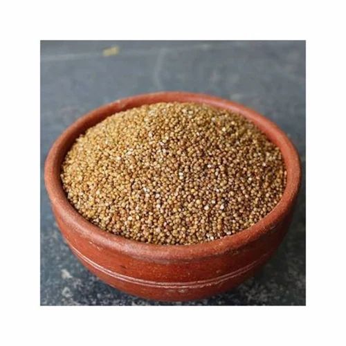Kodo Millet Seed