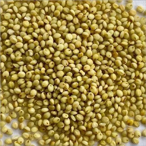Browntop Millets (30 kg)