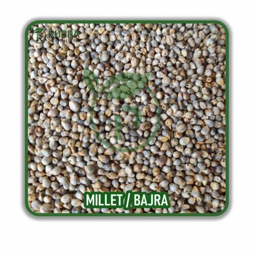 Green Millet Bajra, 50 kg