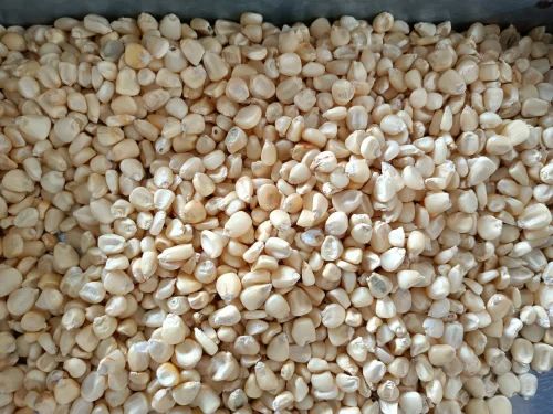 Whole White Maize makka, 50 Kg, High in Protein